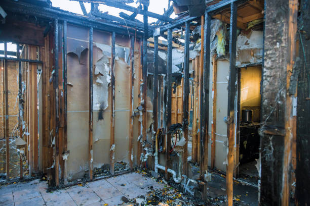 Professional Soot Cleanup technician working in Medford, MN